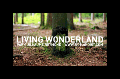 LIVING WONDERLAND Guillaume Reymond
